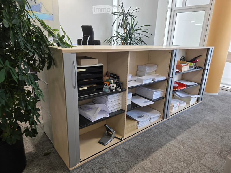 Office reception area with a wooden desk, chair, storage cabinet, and potted plants near large windows.
