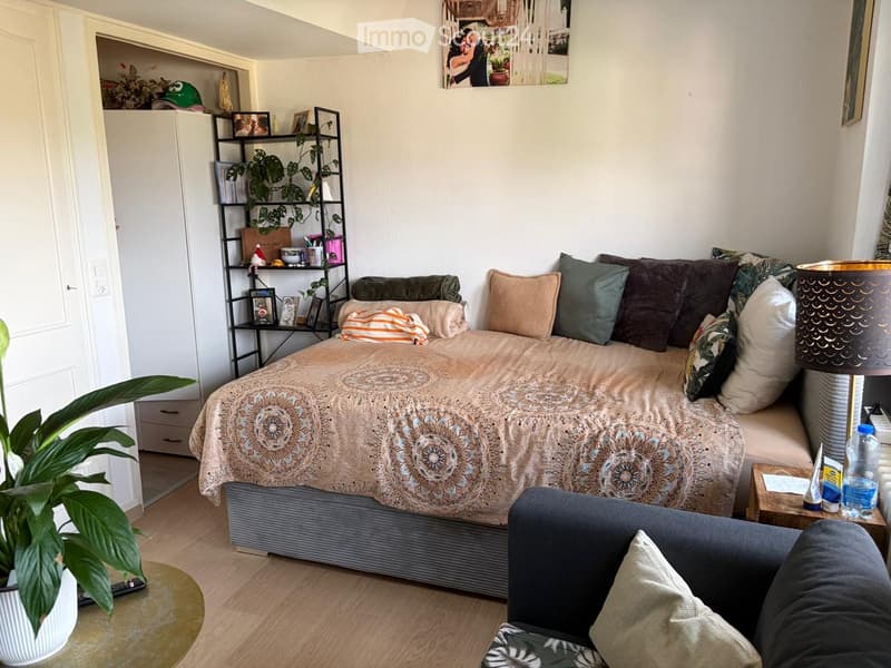 Cozy bedroom with a bed, sofa, nightstand, lamp, shelf, and decorative plants.