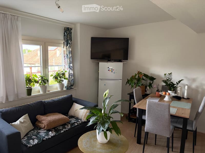 A cozy living and dining area with a blue sofa, coffee table, dining table with chairs, refrigerator, television, and several potted plants.