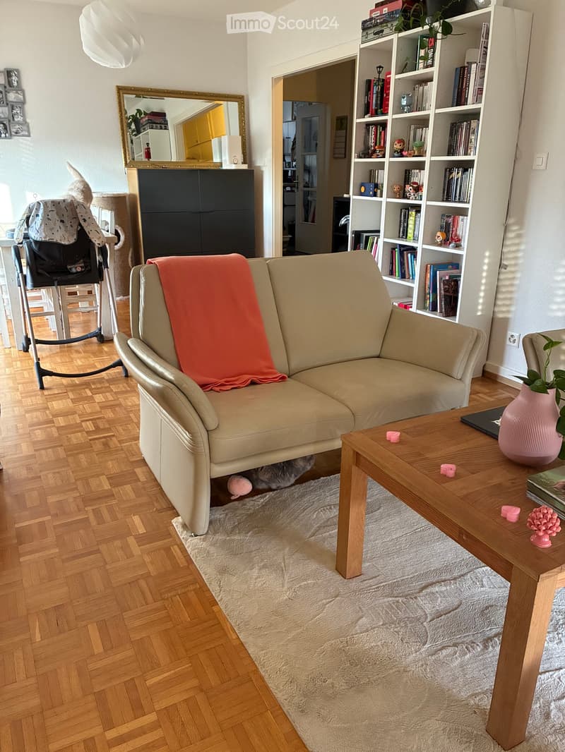 Living room with a beige leather sofa, wooden coffee table, bookshelf, mirror, and a cat hiding under the sofa.
