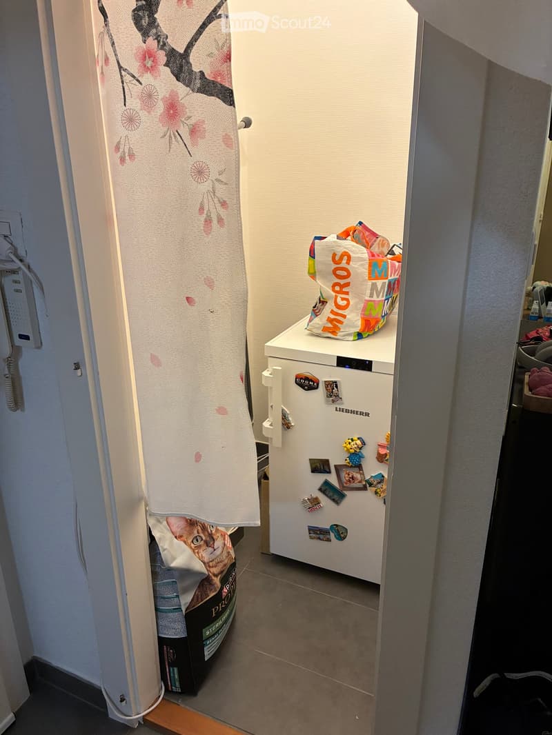 Bathroom with a refrigerator, microwave, and cat food bag visible. The refrigerator has various magnets and pictures attached to it.