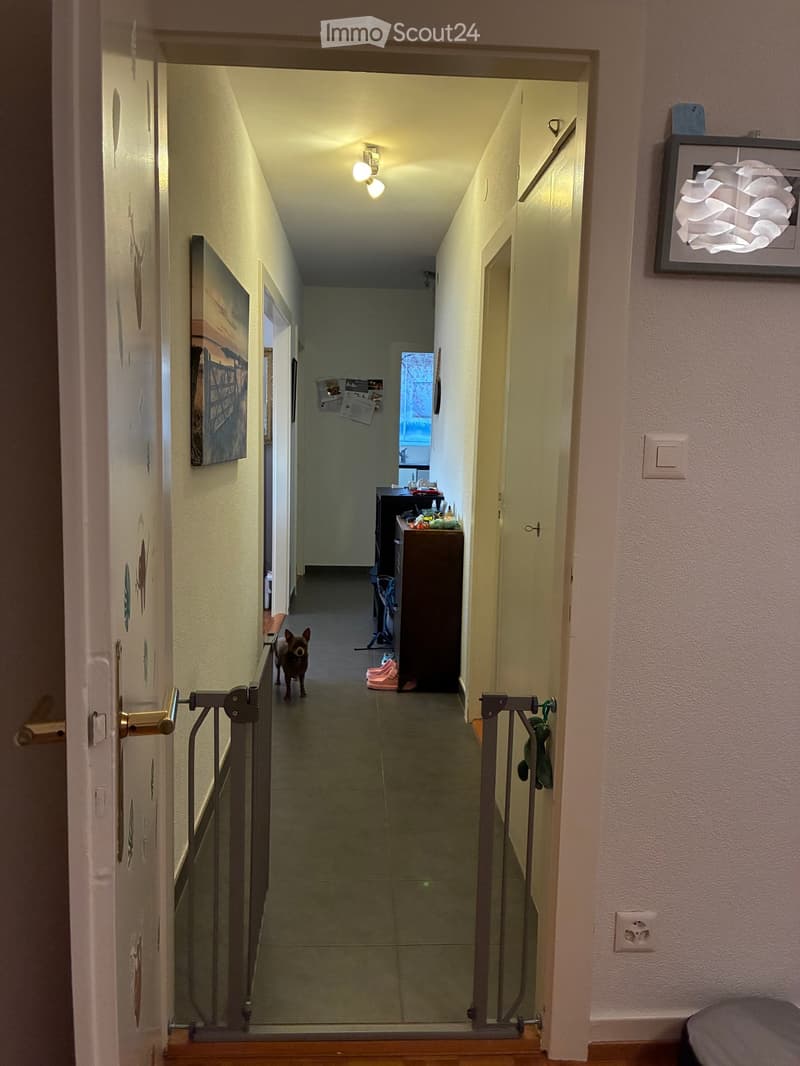 A narrow hallway with beige walls, a tiled floor, and a small dog walking down the corridor. There are doors on both sides, a painting on the left wall, and a small table with items in the background.