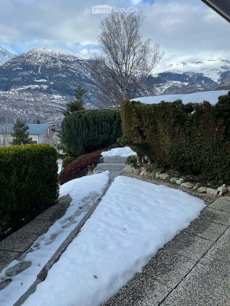 snowy path, hedges, shrubs, mountain view