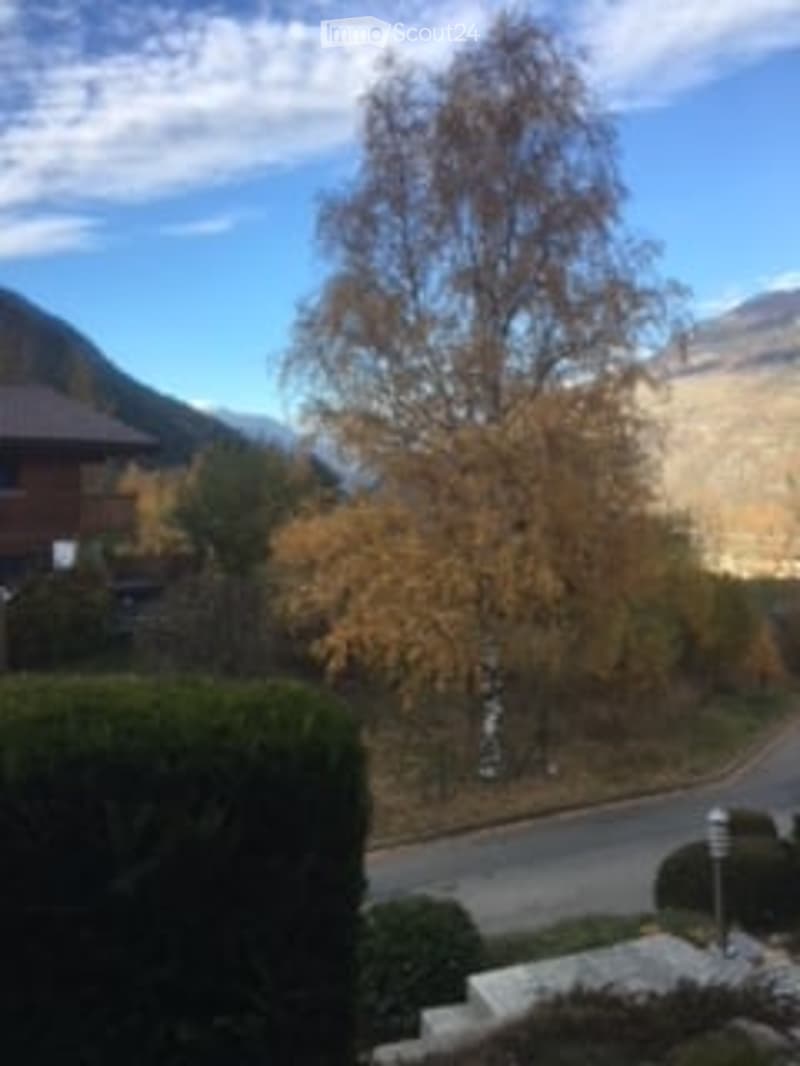 Tree, bushes, road, house, mountains