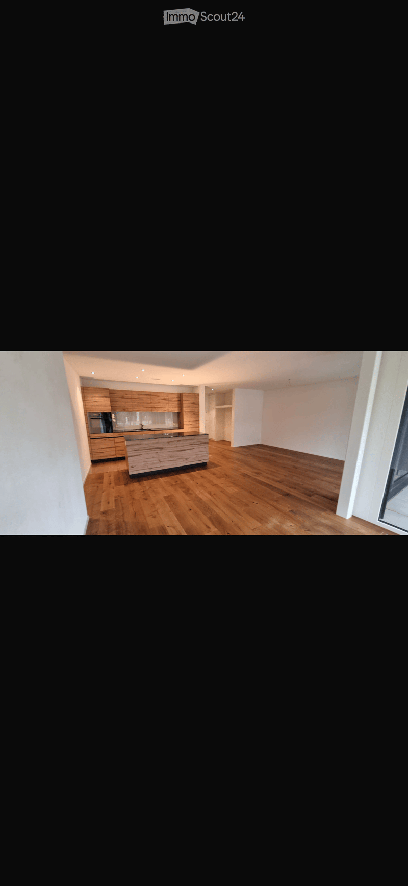 Open-plan kitchen and living area with wooden flooring, modern kitchen island, and built-in cabinets.