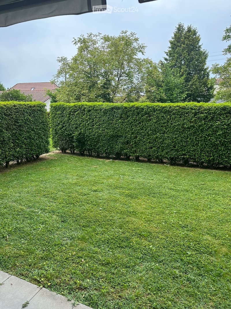 Well-maintained garden with neatly trimmed hedges, a lawn, and trees in the background.