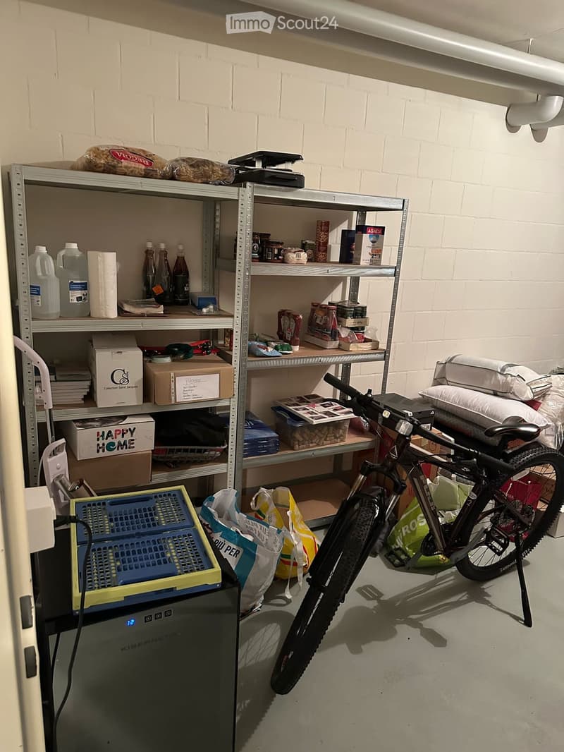 Storage area with metal shelves filled with various items, including food, boxes, and household supplies. A bicycle is positioned near the shelves, and a small refrigerator is visible on the left side.
