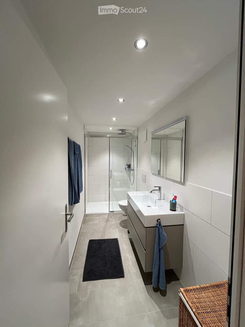 Modern bathroom with a white sink, mirror, toilet, and glass-enclosed shower. Features include a dark bathmat, towels, and recessed lighting.
