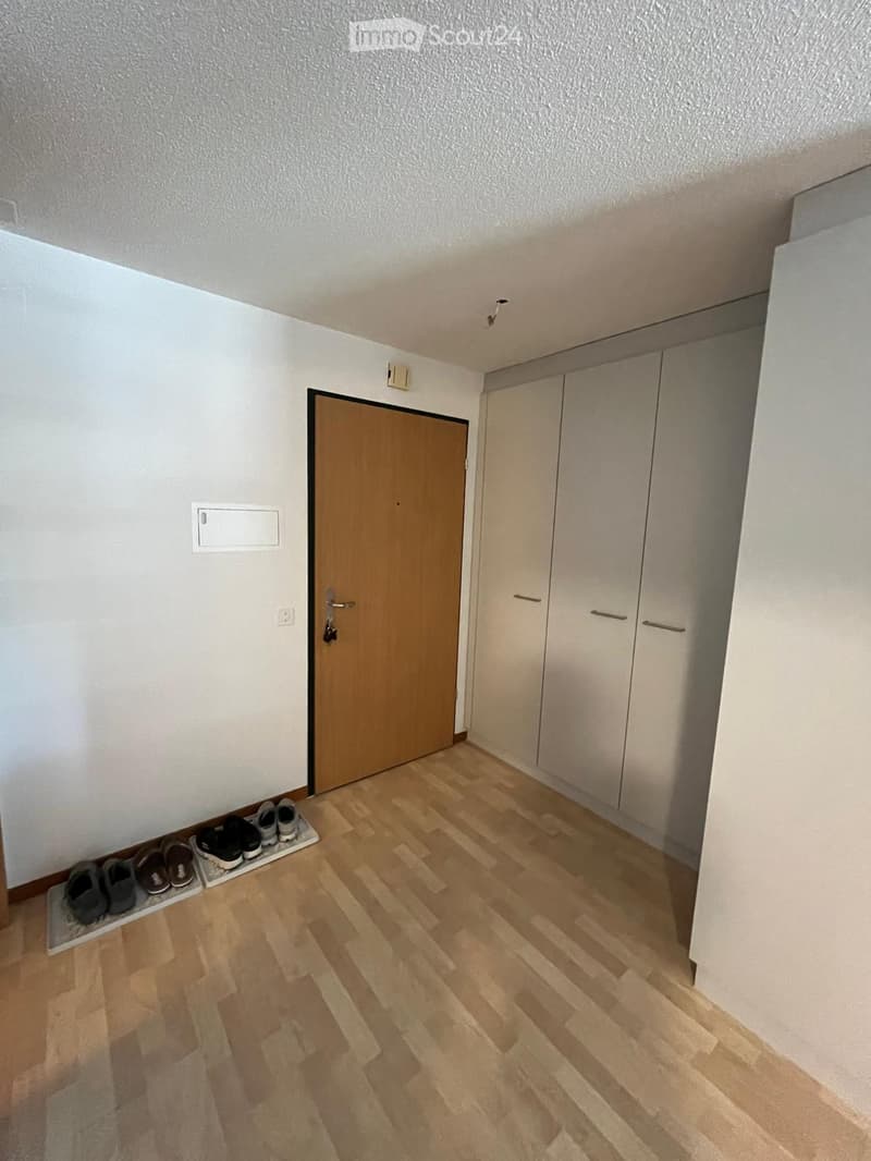 Empty hallway with wooden flooring, white walls, a closed wooden door, and built-in white cabinets. A small shoe rack with several pairs of shoes is visible on the left side.