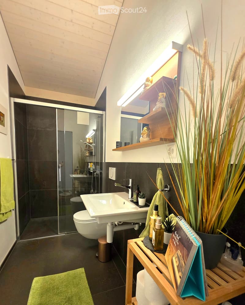 Modern bathroom with a white sink, chrome faucet, toilet, glass-enclosed shower, wooden shelves, decorative plants, and towels.
