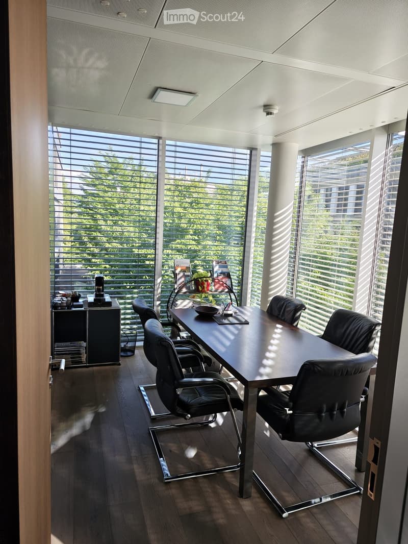 Modern office space with large windows, wooden floor, black leather chairs, a long table, a small cabinet, and a potted plant.