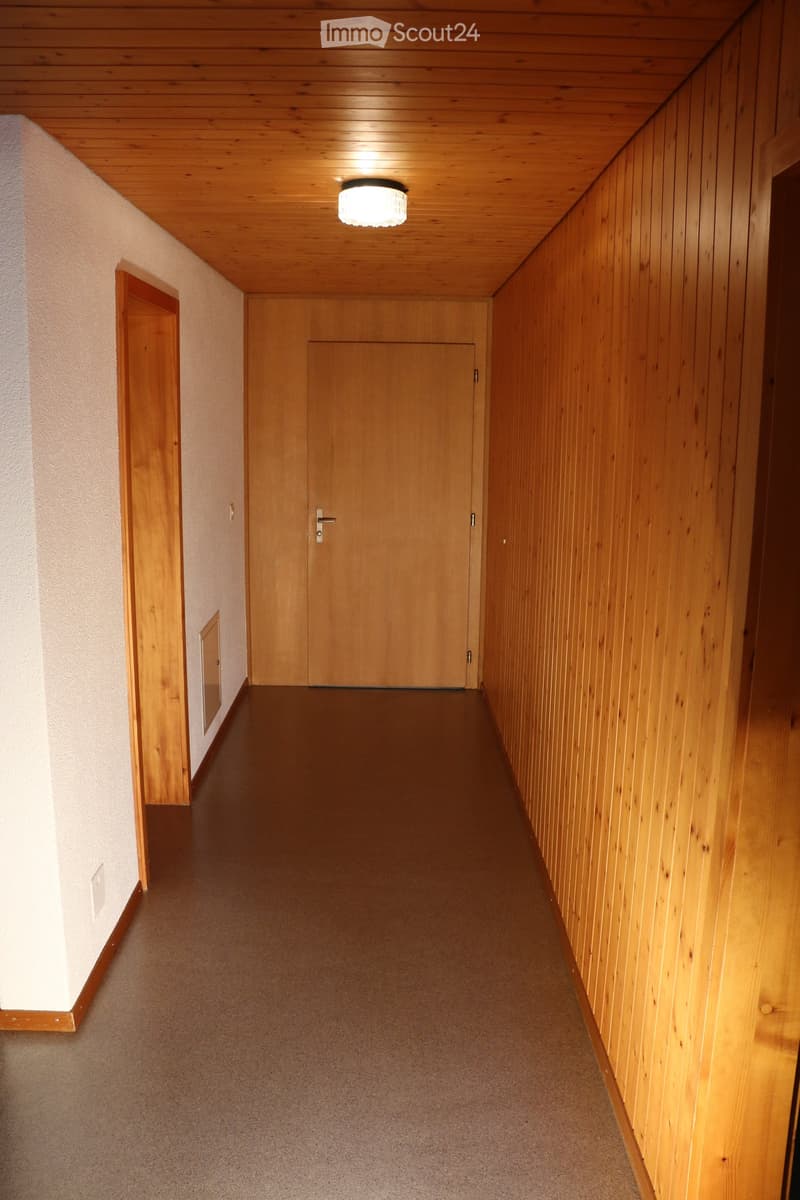 Wooden-paneled hallway with carpeted floor, recessed lighting, and two wooden doors.