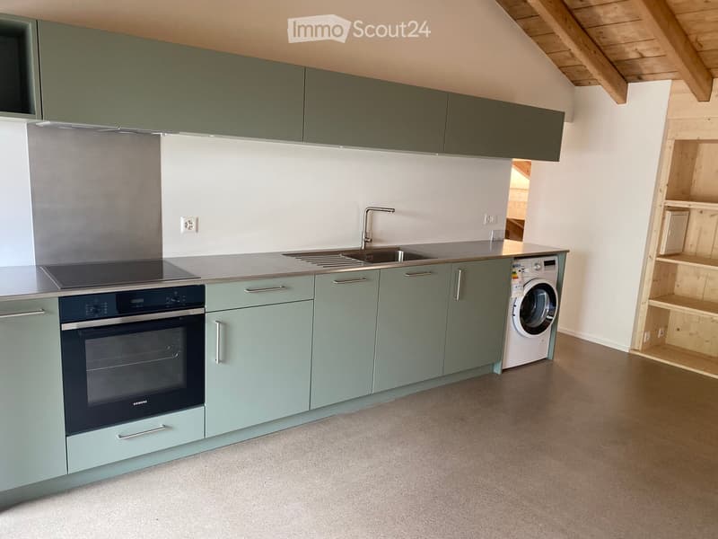 Modern kitchen with green cabinets, stainless steel appliances, and a built-in oven. Includes a sink with a faucet and a private washing machine.