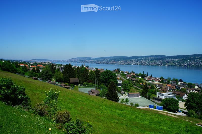 A panoramic view of a town with houses, a lake, and surrounding hills. The foreground shows a grassy hill with trees, and the background includes a body of water and distant mountains.