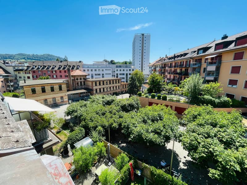 A lush garden area with various trees and shrubs, surrounded by buildings and a clear blue sky. The garden includes a wooden fence, a small seating area, and a few outdoor furniture pieces.