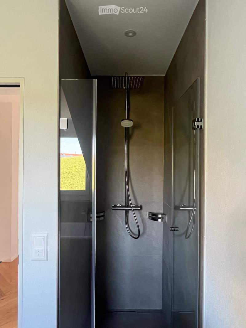 Modern walk-in shower with glass door, handheld showerhead, and built-in controls.