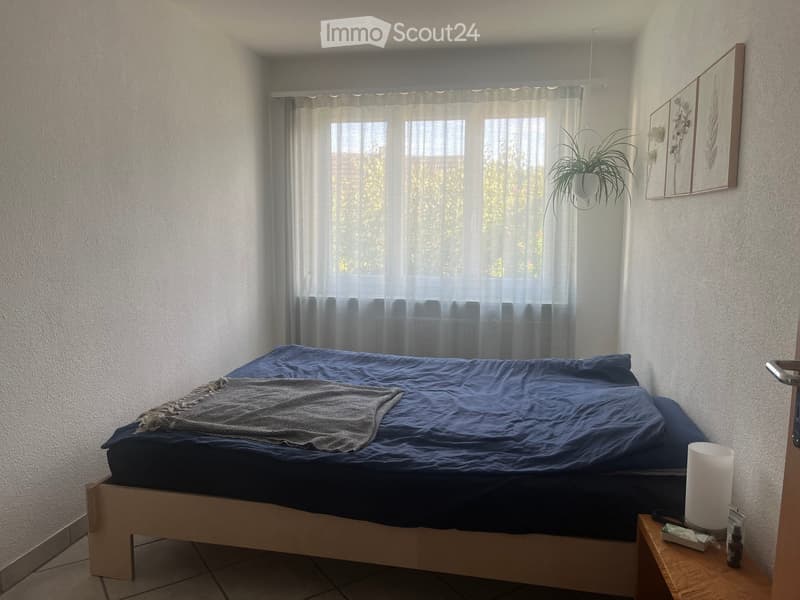 A tidy bedroom with a wooden bed frame, blue bedding, a nightstand with a lamp, a potted plant, and framed artwork on the wall.