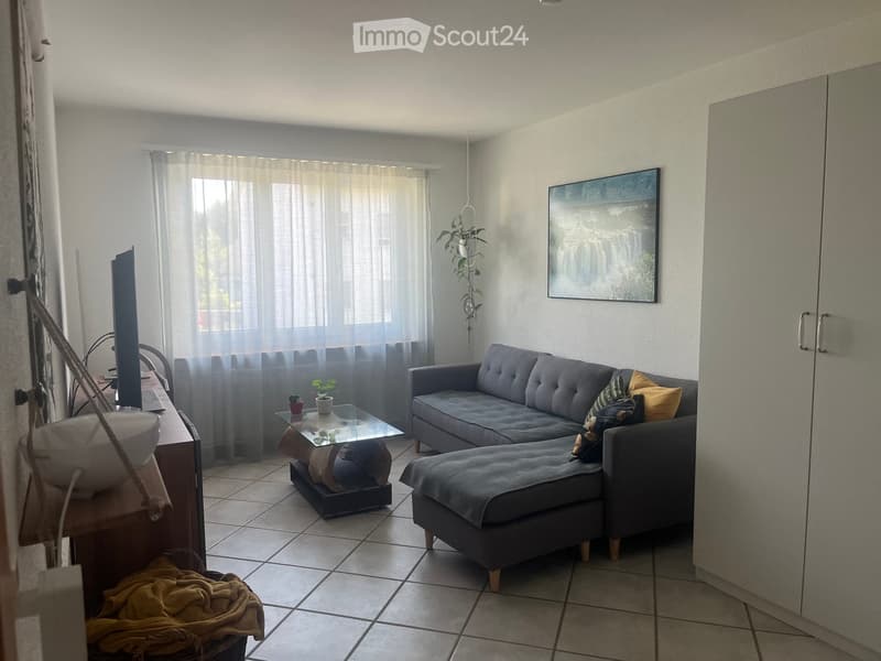 Living room with grey sectional sofa, ottoman, glass coffee table, TV, and decorative plants.