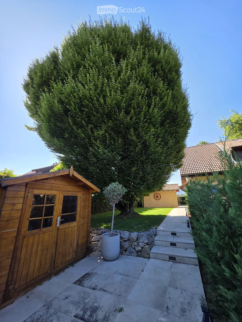 Garden area with a large tree, a wooden shed, a potted plant, stone steps, and a pathway leading to a house with a tiled roof.