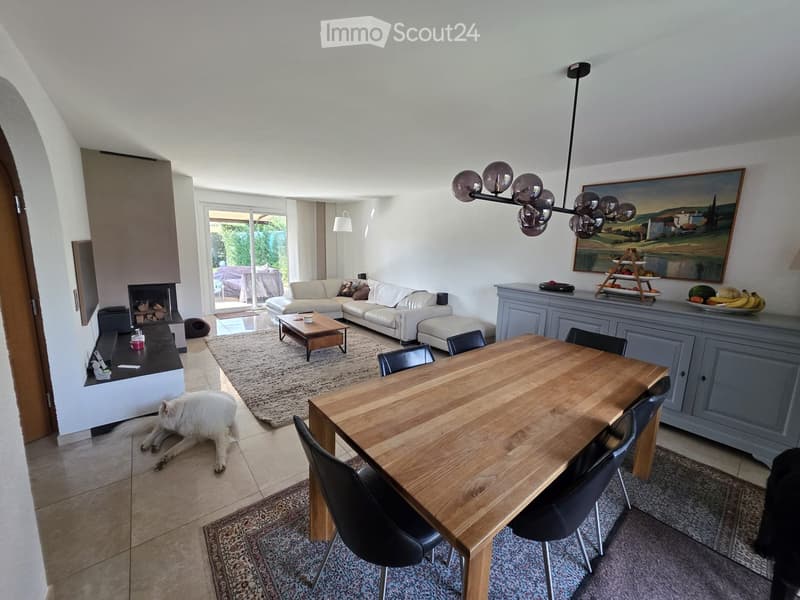 Open-plan living and dining area with a white sofa, coffee table, dining table with chairs, fireplace, and a dog lying on the floor.