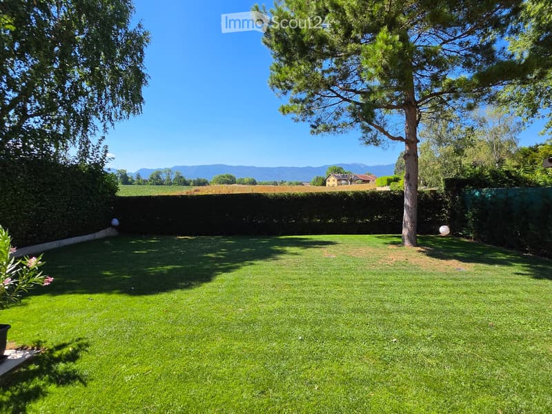 Well-maintained lawn with a large tree, surrounded by hedges and a clear view of distant mountains.