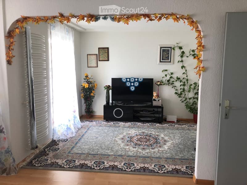 Living room with a large area rug, television on a stand, decorative vases, potted plants, and framed artwork on the walls.