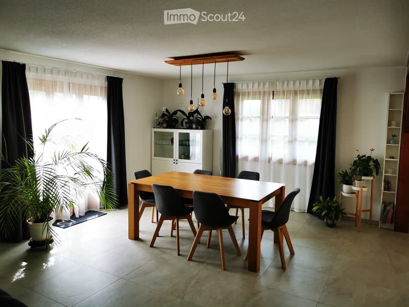 Bright dining area with a wooden dining table, six chairs, a white cabinet, and potted plants. Natural light streams in through large windows with sheer curtains.