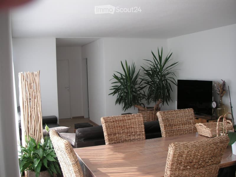 A modern living room with a wooden dining table, wicker chairs, a sofa, a television, and decorative plants.