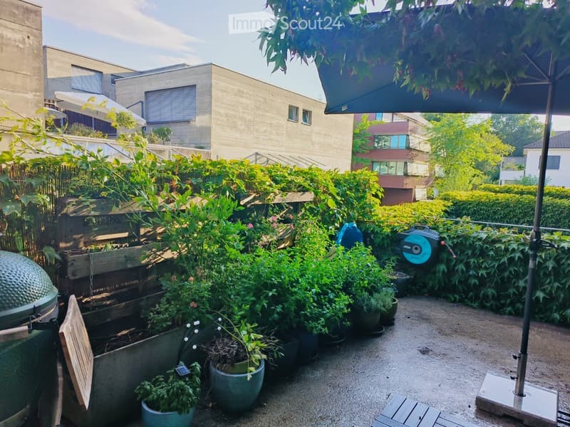 A well-maintained garden area with various potted plants, a wooden bench, and a large umbrella providing shade. The space is enclosed by a hedge and features a modern building in the background.