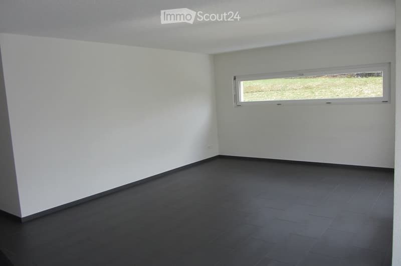 Completely empty room with white walls, dark tiled floor, and a large window showing a grassy outdoor view.