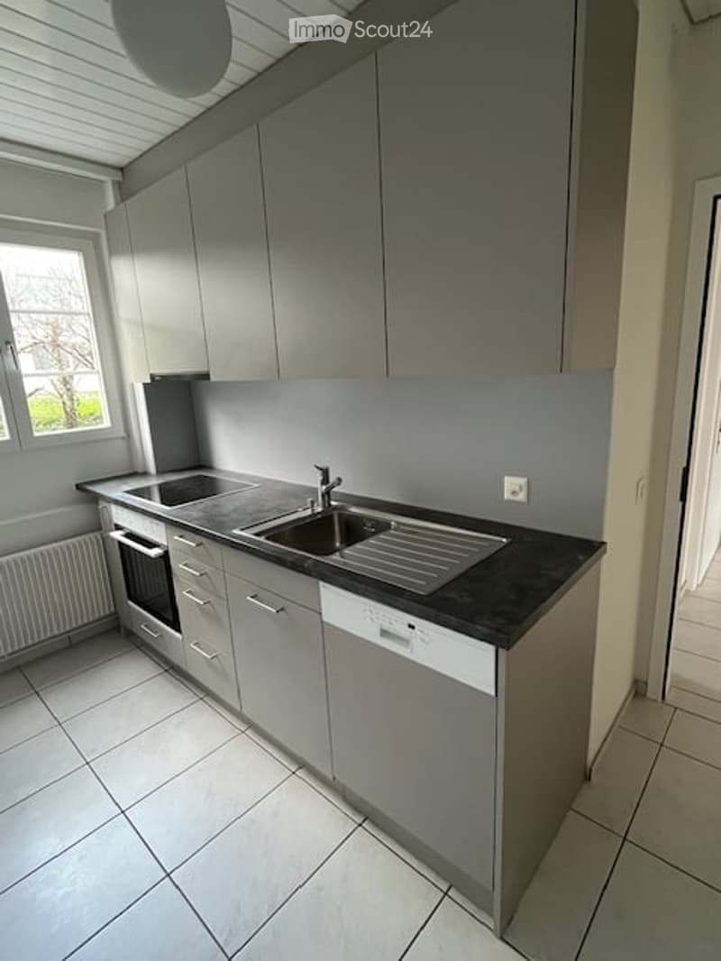 Modern kitchen with grey cabinets, black countertop, stainless steel sink, and built-in appliances including an oven and dishwasher.