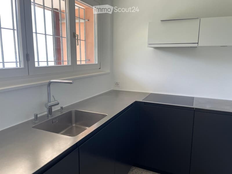 Modern kitchen with stainless steel sink, sleek faucet, and dark cabinets.