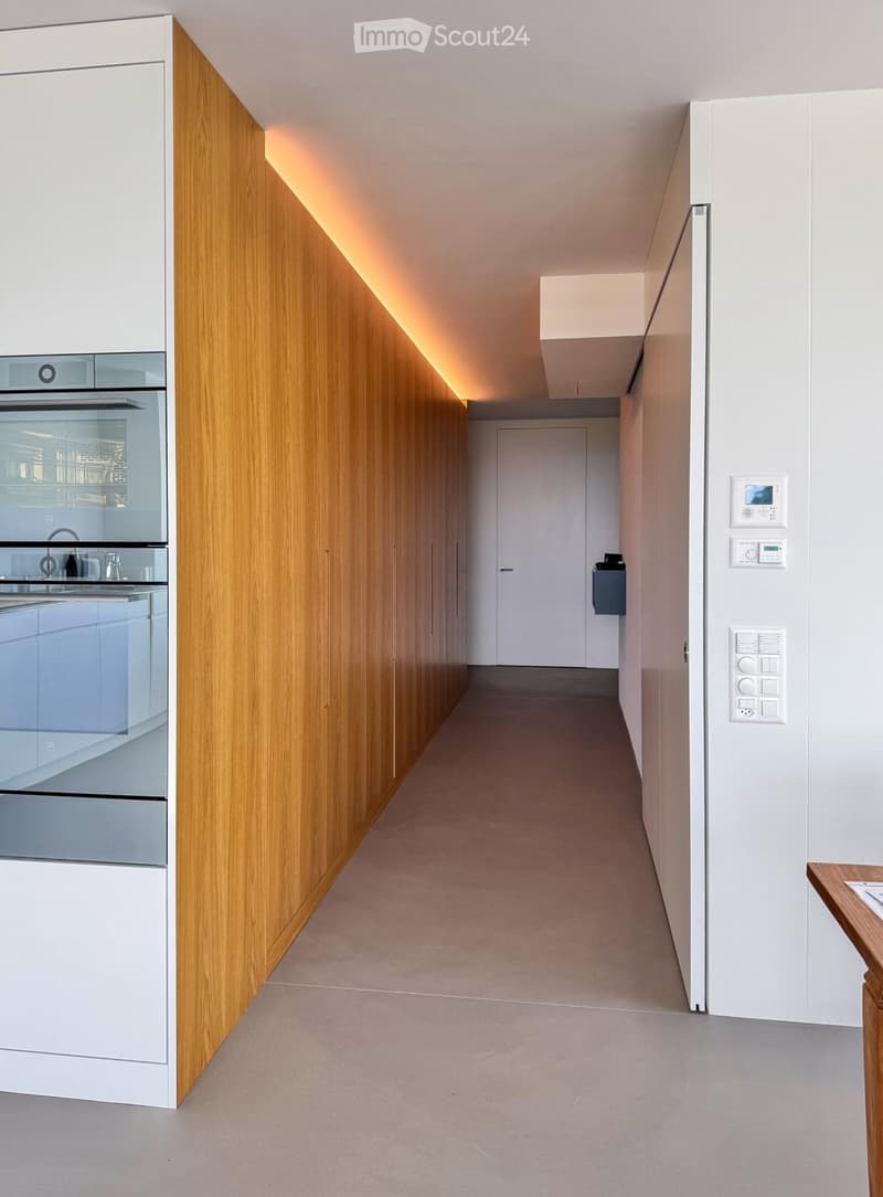 Modern hallway with wooden paneling on one wall, white walls, and built-in cabinets. Features recessed lighting and a door leading to another room.