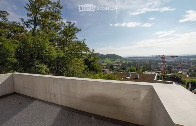 Roof terrace with a low concrete wall, overlooking a cityscape with trees and buildings.