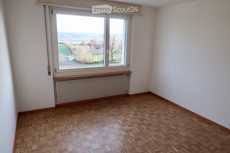 Empty room with wooden parquet flooring, white walls, large window with view of countryside, radiator below window.