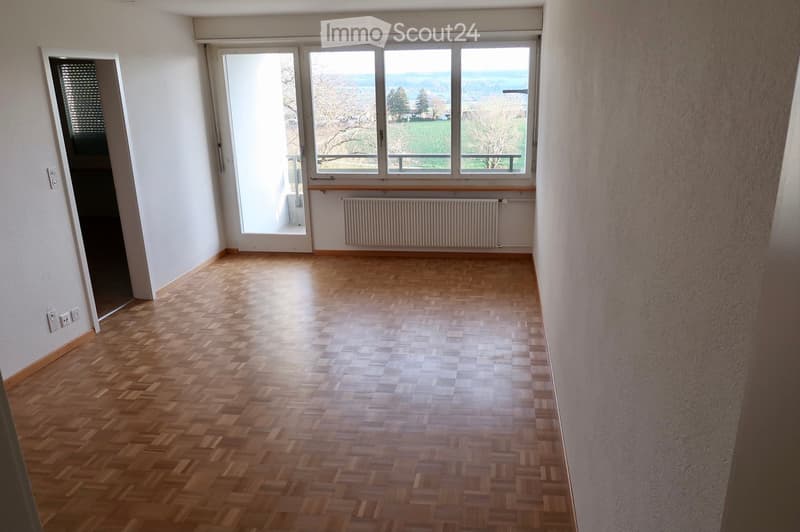 Empty room with wooden parquet flooring, white walls, large windows offering a scenic view, and a radiator below the windows.