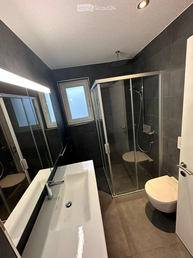 Modern bathroom with a white sink, chrome faucet, toilet, glass-enclosed shower, and large windows providing natural light.