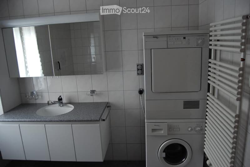 Modern bathroom with a sink, mirror, washing machine, and radiator. The walls are tiled, and the floor is covered with a dark material.