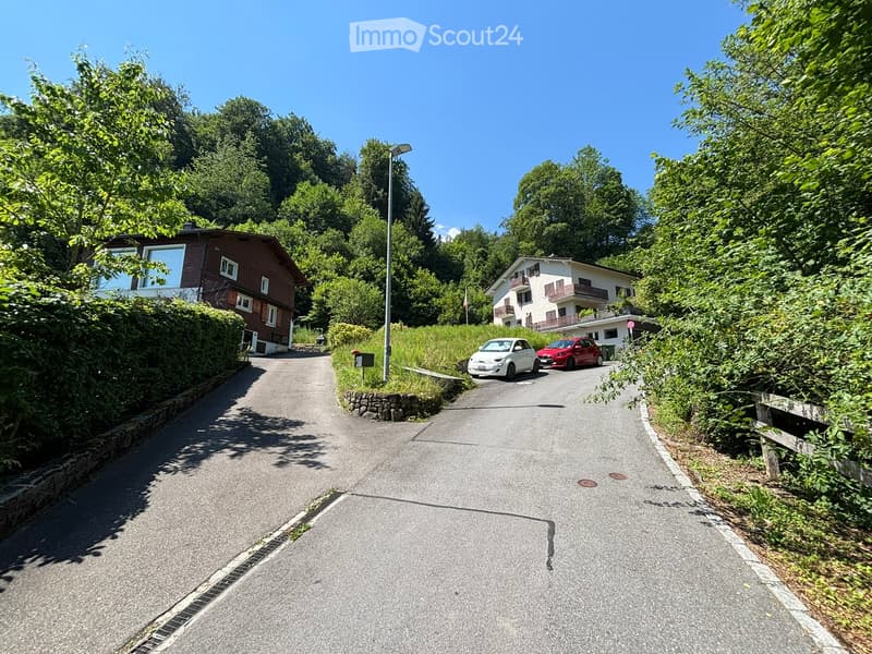 A quiet residential street with two houses, one red and one white, surrounded by lush greenery and trees. Two cars are parked on the right side of the road.