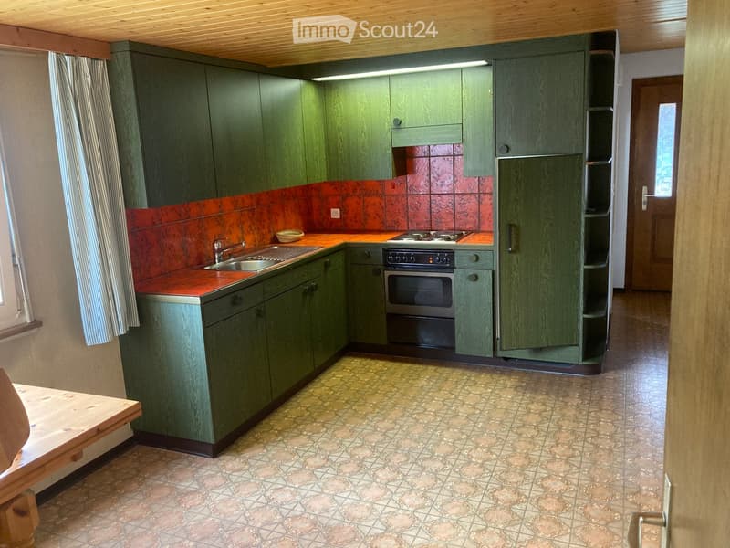 Green kitchen with wooden cabinets, stainless steel sink, oven, refrigerator, and a small table in the foreground.