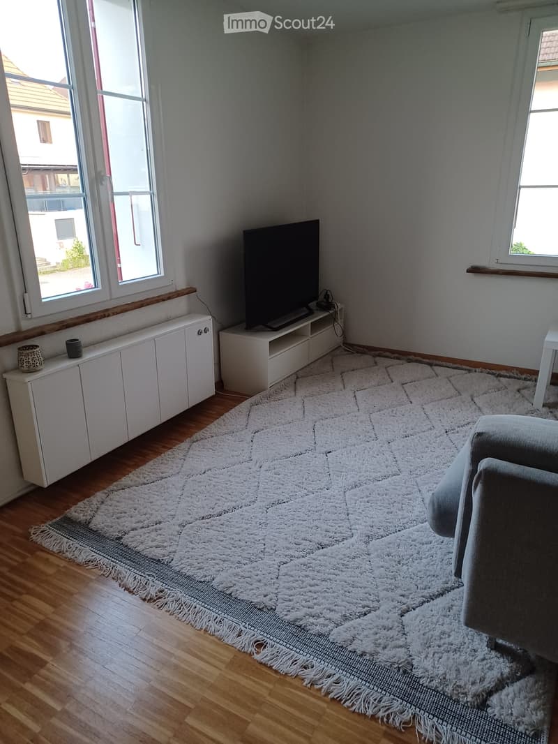 Modern living room with light-colored walls, wooden flooring, and large windows. Features a white shag rug, a grey sofa, a television on a white stand, and a white cabinet with decorative items on top.