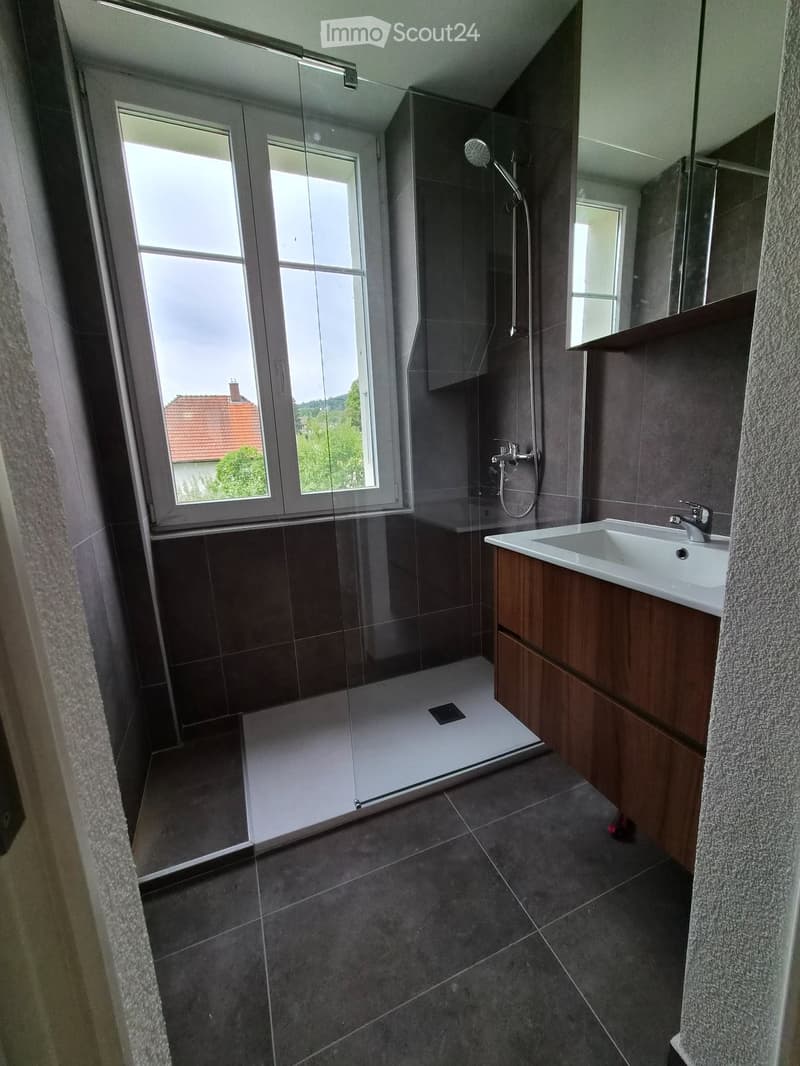 Modern bathroom with dark tiles, a glass-enclosed shower, a white sink with a wooden cabinet, and a large window offering a view of the outside.