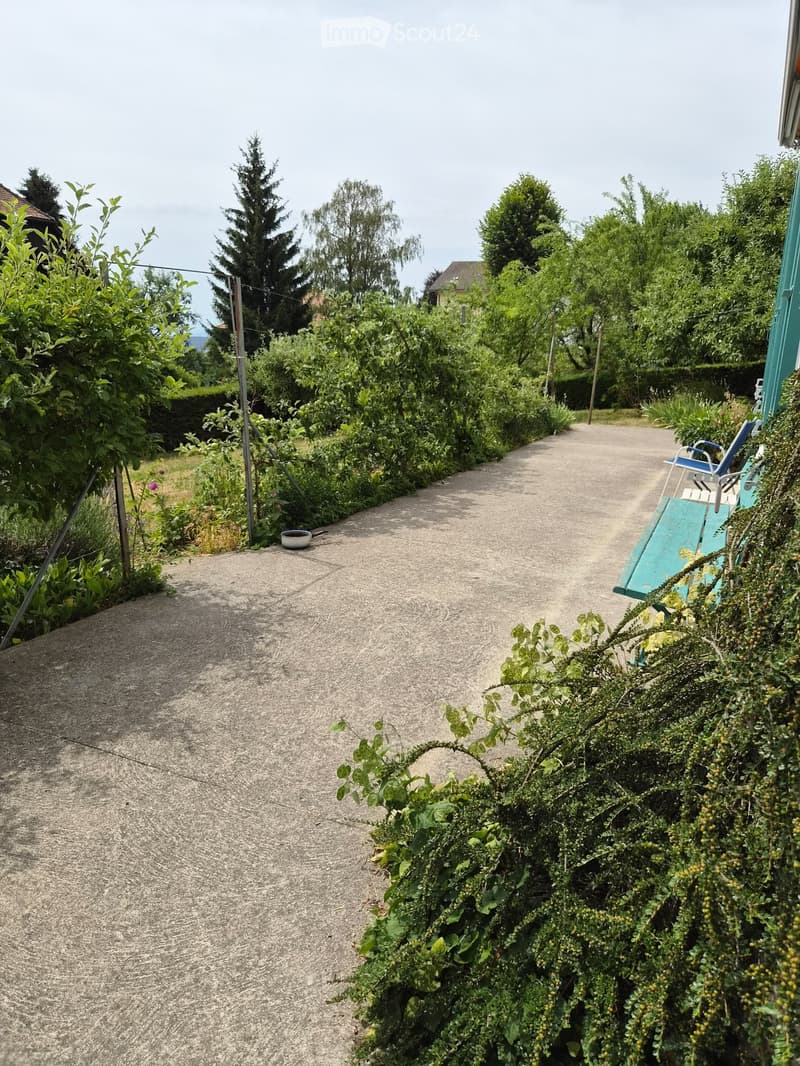 A narrow concrete pathway lined with lush greenery and trees, leading to a blue lounge chair on the right side.