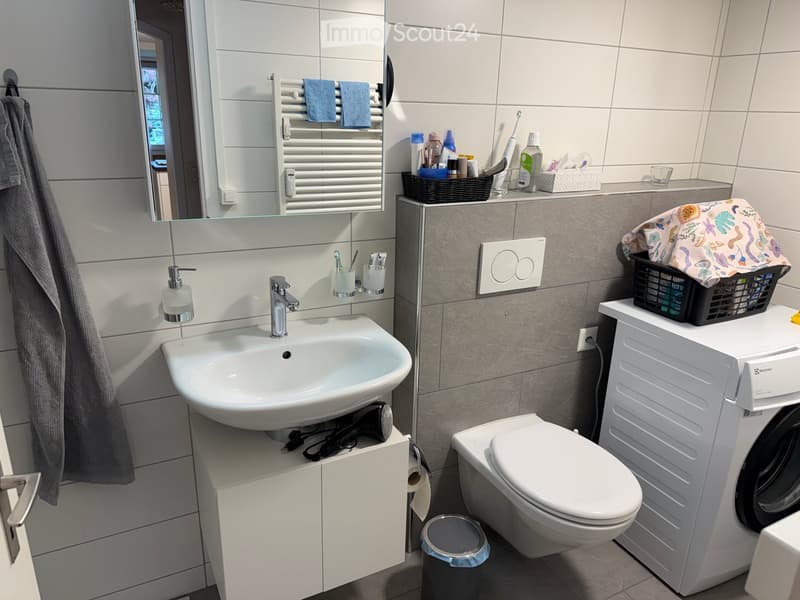 Modern bathroom with a sink, mirror, toilet, washing machine, and various toiletries neatly arranged on shelves and counters.