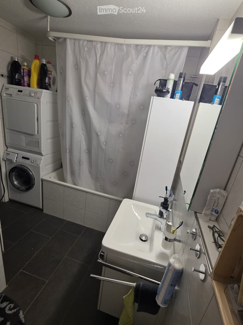 Bathroom with a white sink, faucet, toothbrush holder, towel, washing machine, shower curtain, mirror, and various toiletries.