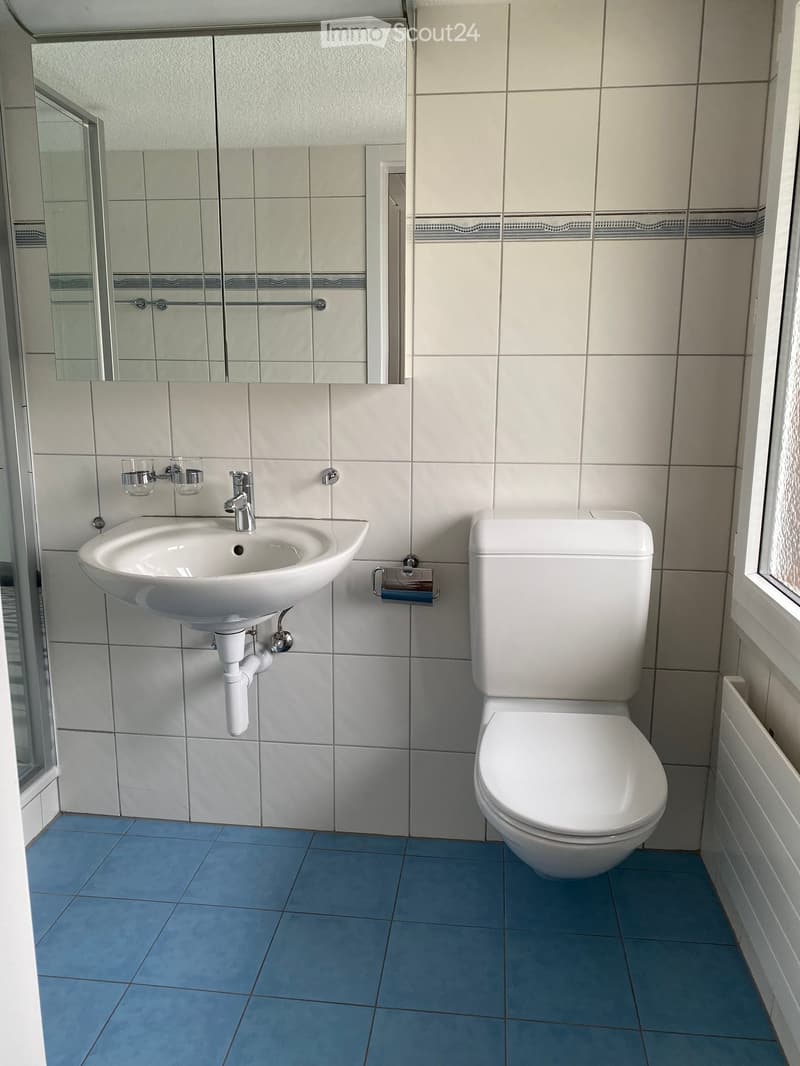 Modern bathroom with white tiles, blue floor tiles, a white sink, a toilet, a mirror, and a toothbrush holder.