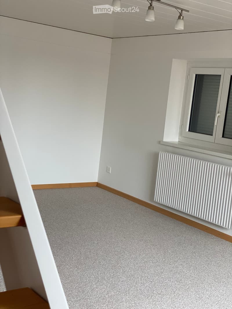 Empty room with light grey carpet, white walls, a radiator, and a window with blinds.