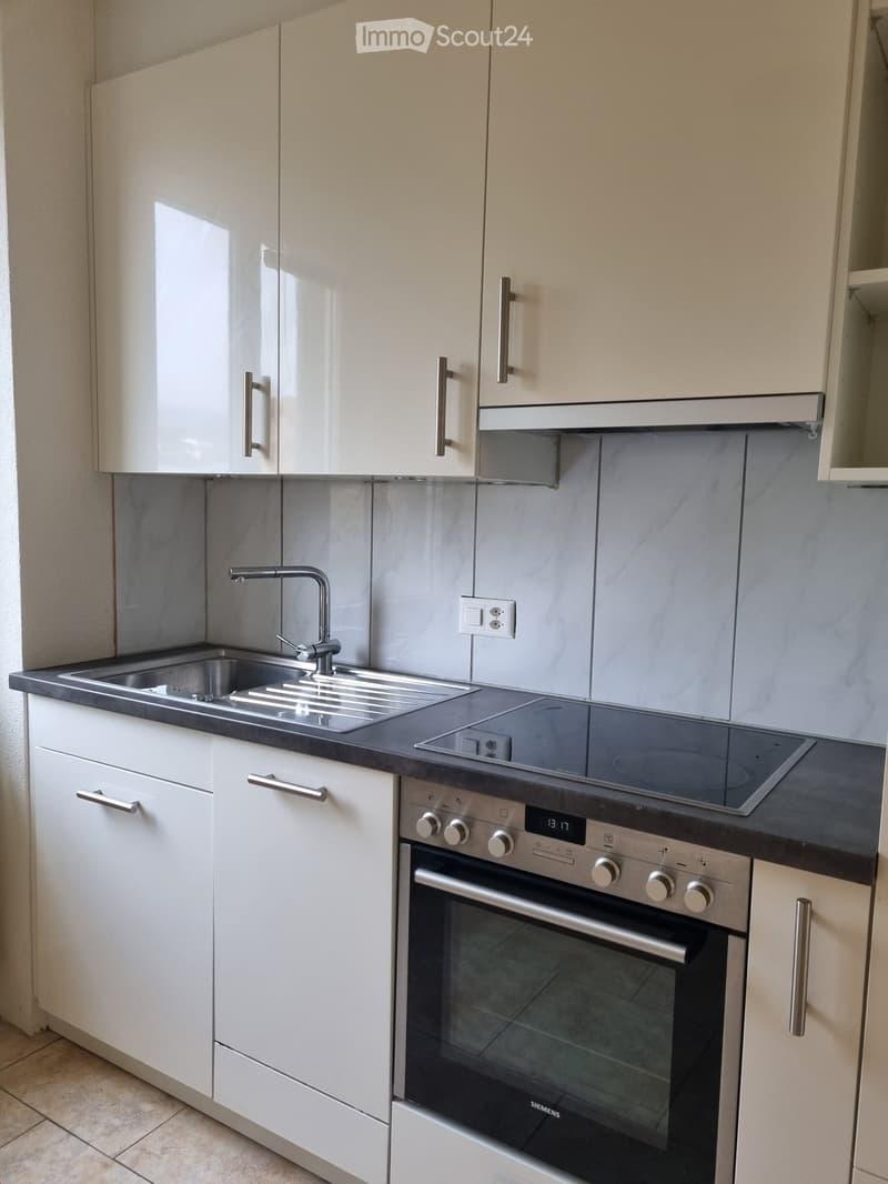 Modern kitchen with white cabinets, stainless steel sink, faucet, and built-in oven. Countertop features a black surface with a built-in induction cooktop.