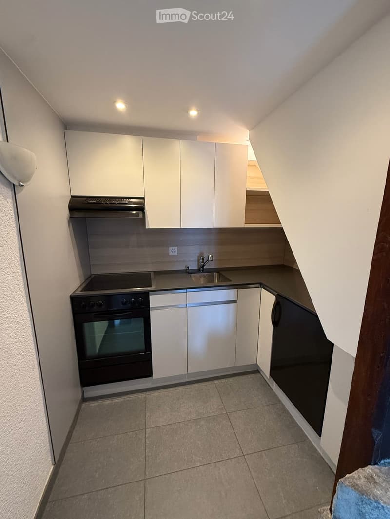 Appartement de 3.5 pièces avec accès direct au lac à St-Gingolph (5)