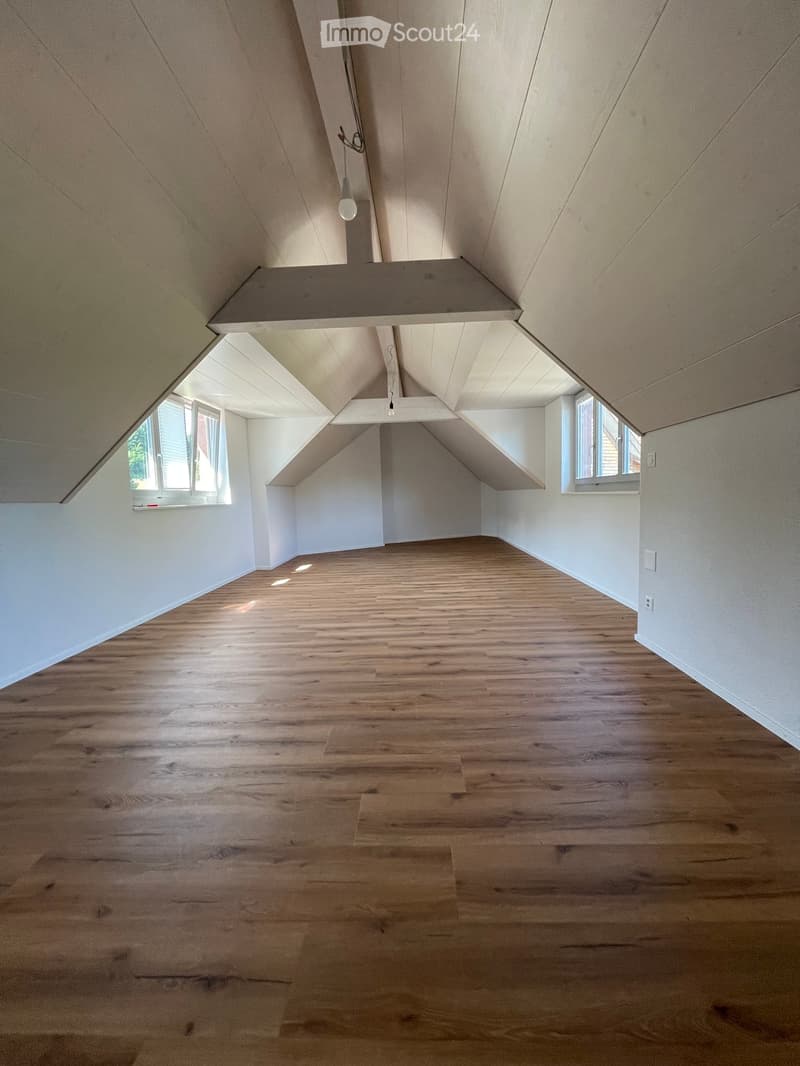 Empty attic space with wooden flooring, white walls, and skylight windows allowing natural light. No furniture or furnishings present.